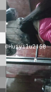 城中村60岁阿姨的爱情故事 还能中出