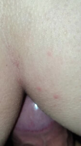 0374许昌后入白虎大屁股女大