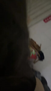 西安小母狗